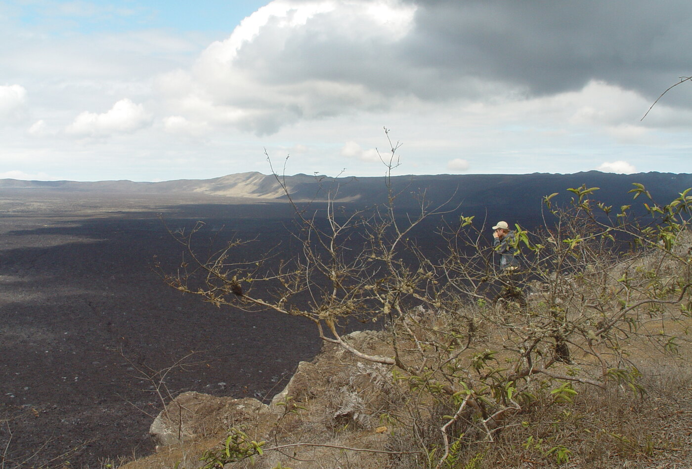 Isabela Galapagos Sierra Negra volcano