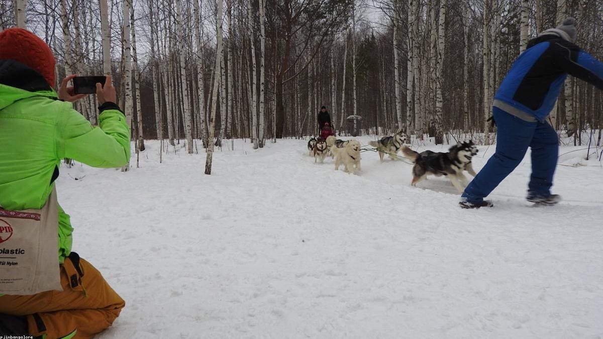 Владивосток и Приморье: Остров Русский