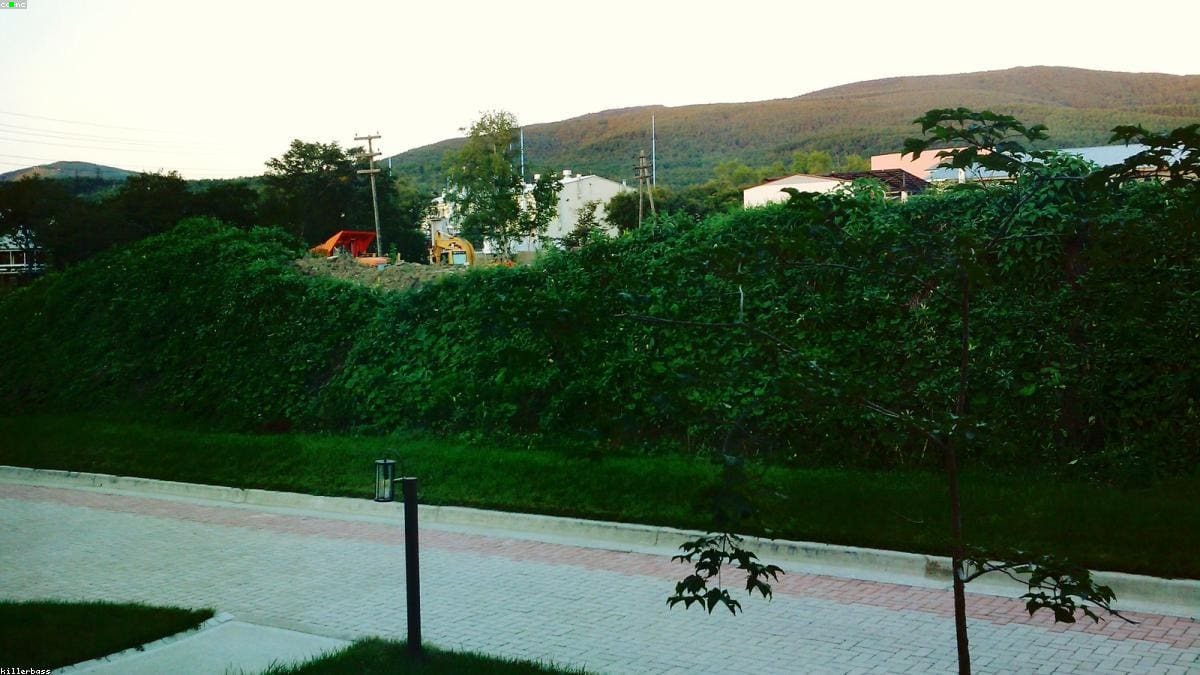 Сахалин: Сахалинские рынки