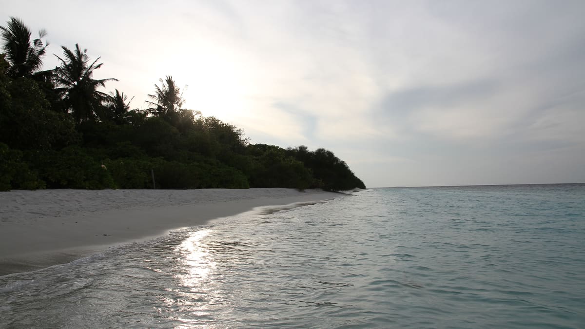 Вся страна: Baa Atoll и Hanifaru Bay