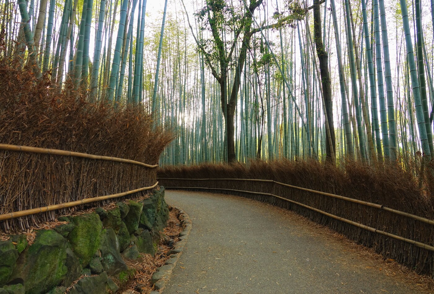 Kyoto Arashiyama как сезонный блок Japan