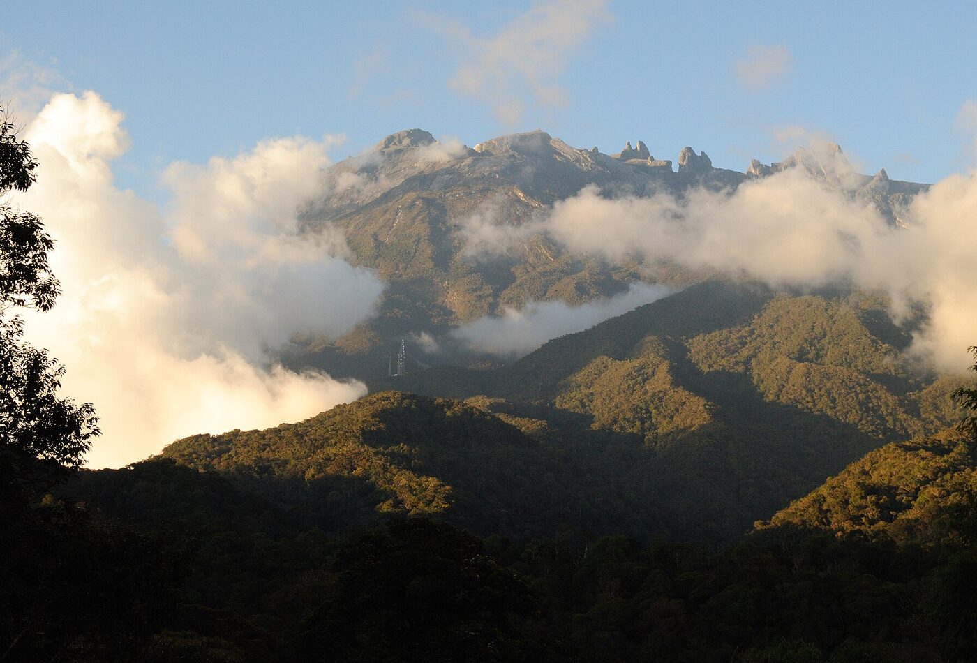 Borneo rainforest Malaysia